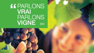 basf pvpv 2022